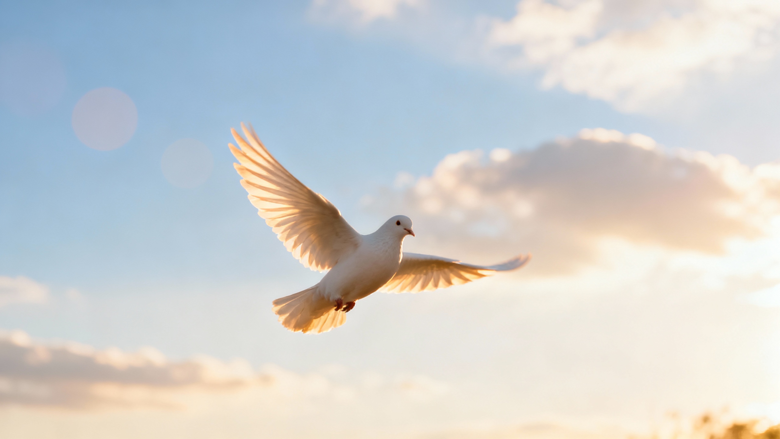 Featured image for Unveiling Hope: Coping with Herpes in a Positive Way